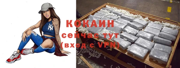 прущий лед Алзамай