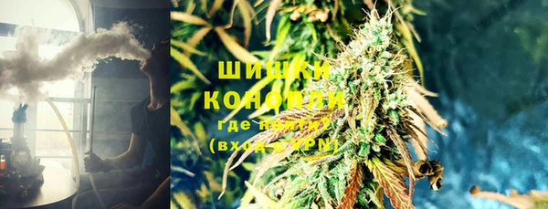 прущий лед Алзамай
